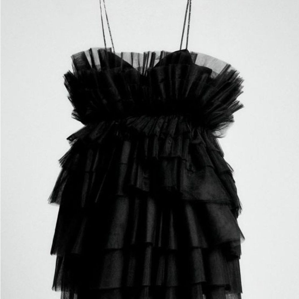 NWT ZARA collab with New York City Ballet. Size XS.